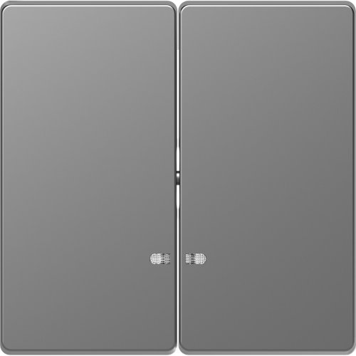 Лицевая панель Schneider Electric Merten D-Life для 2-кл. выключателя с подсветкой сталь картинка